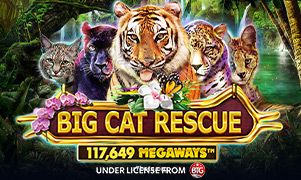 Big Cat Rescue Megaways slot r7 bet
